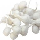 Cotton Wick Round