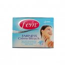 Fem Fairness Bleach 52.8 gm