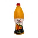 Regal Mango Nectar 1 Ltr