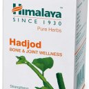 Himalaya Wellness Pure Herbs Hadjod Bone & Joint Wellness - 60 Tablet