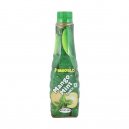 Weikfield Mango Mint Sauce 220gm