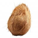 Coconut Kerala (No Exchange)  India