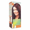 Garnier Burgundy Colour 3.16