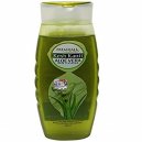 Patanjali Aloe Vera Shampoo