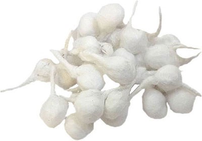 Cotton Wick Round
