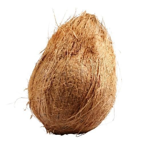 Coconut