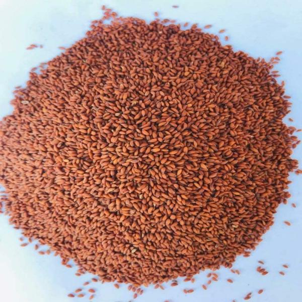 *KE Herbs Ashali 100gm